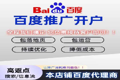 百度优化推广案例：案例分析及优化建议